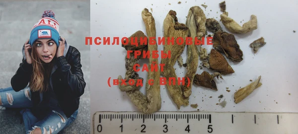 прущая мука Бородино