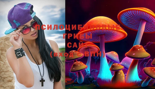 spice Волоколамск